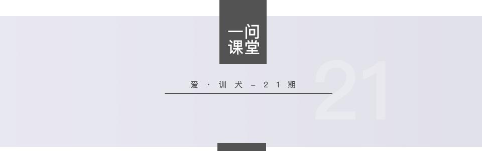 训练狗狗定点排便诱导剂有用吗,会定点排便的狗狗又乱拉