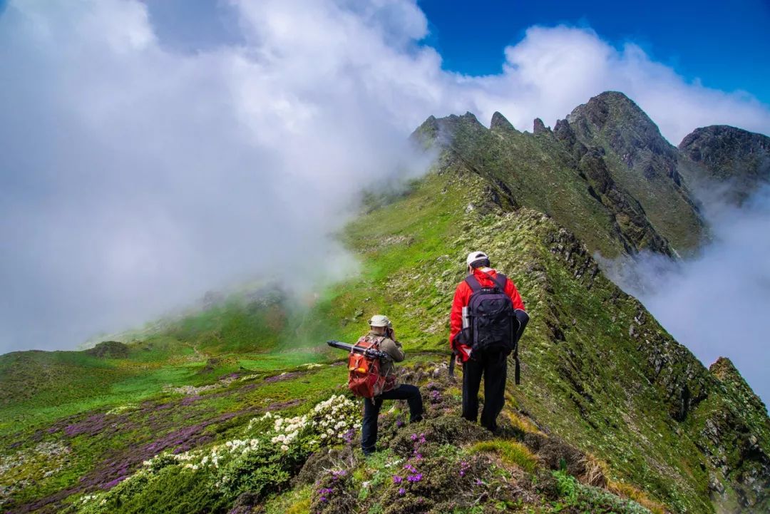 电网男女送礼都有啥？网友：送个锤子