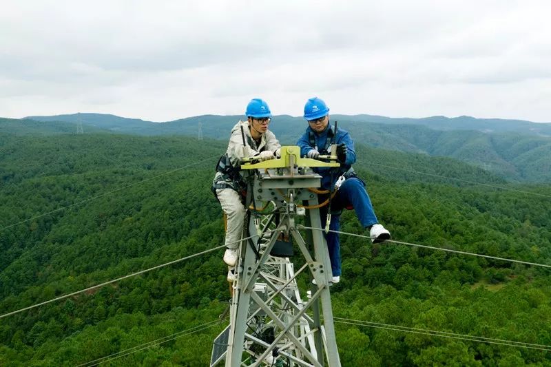电网男女送礼都有啥？网友：送个锤子