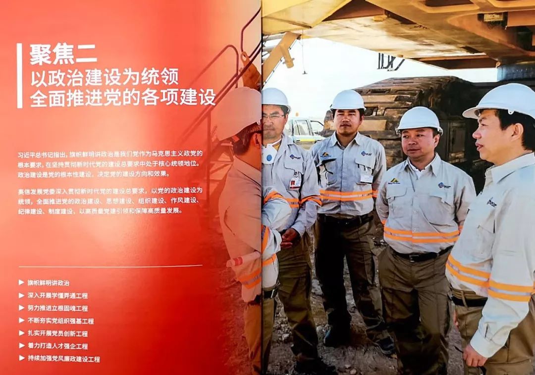 奥信发展公司*党**委发布《*党**建报告2019》