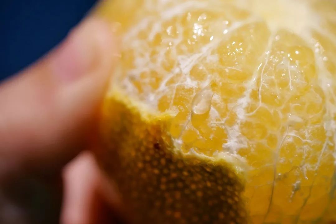 认识下广东人从小吃到大的宝藏水果,像冬季里清甜的山泉