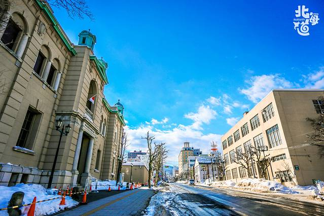 北海道冬季自由行游记,北海道情书