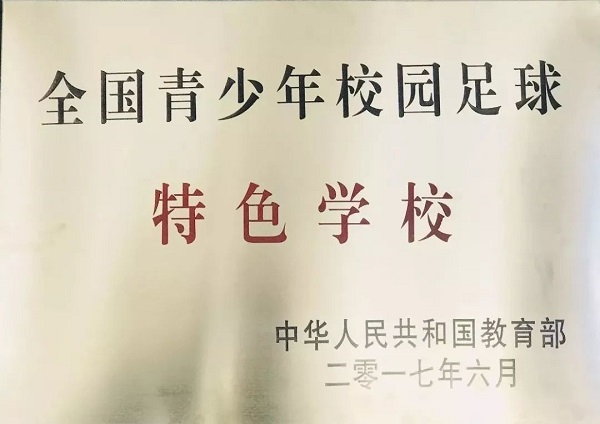 我爱足球民间争霸赛2018,2015年我爱足球民间争霸赛