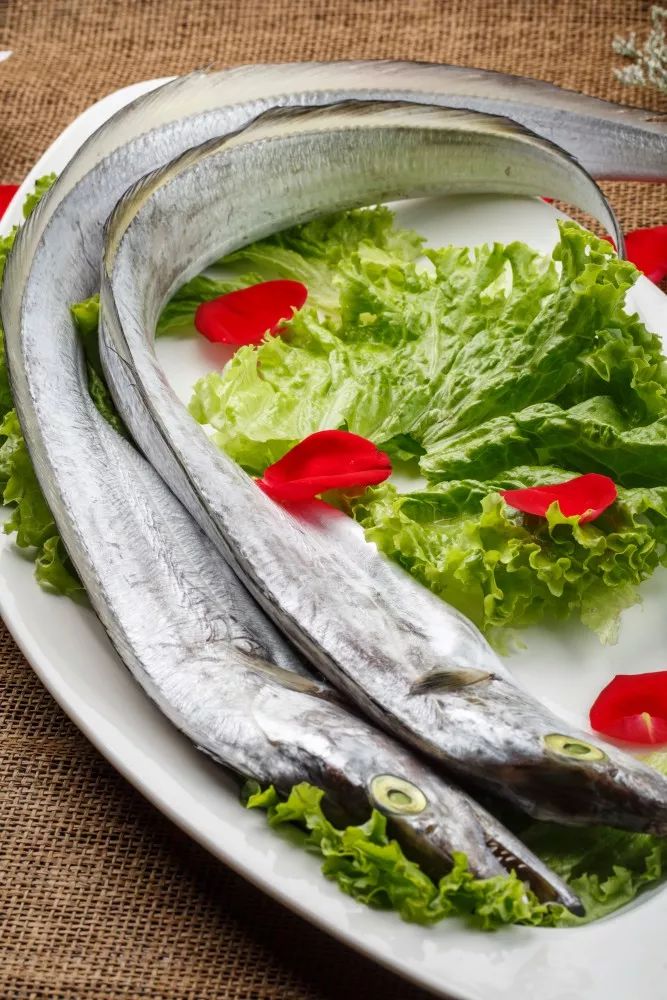 带鱼的白鳞营养价值,肉质比较嫩刺软的带鱼