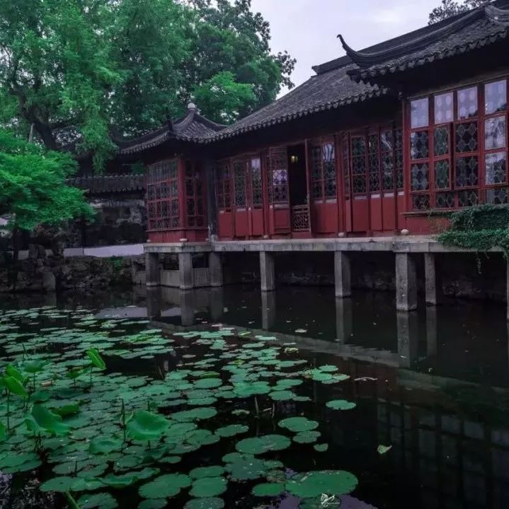 趣读丨旧时苏州人「养宠物」极简史，不只是吸猫遛狗