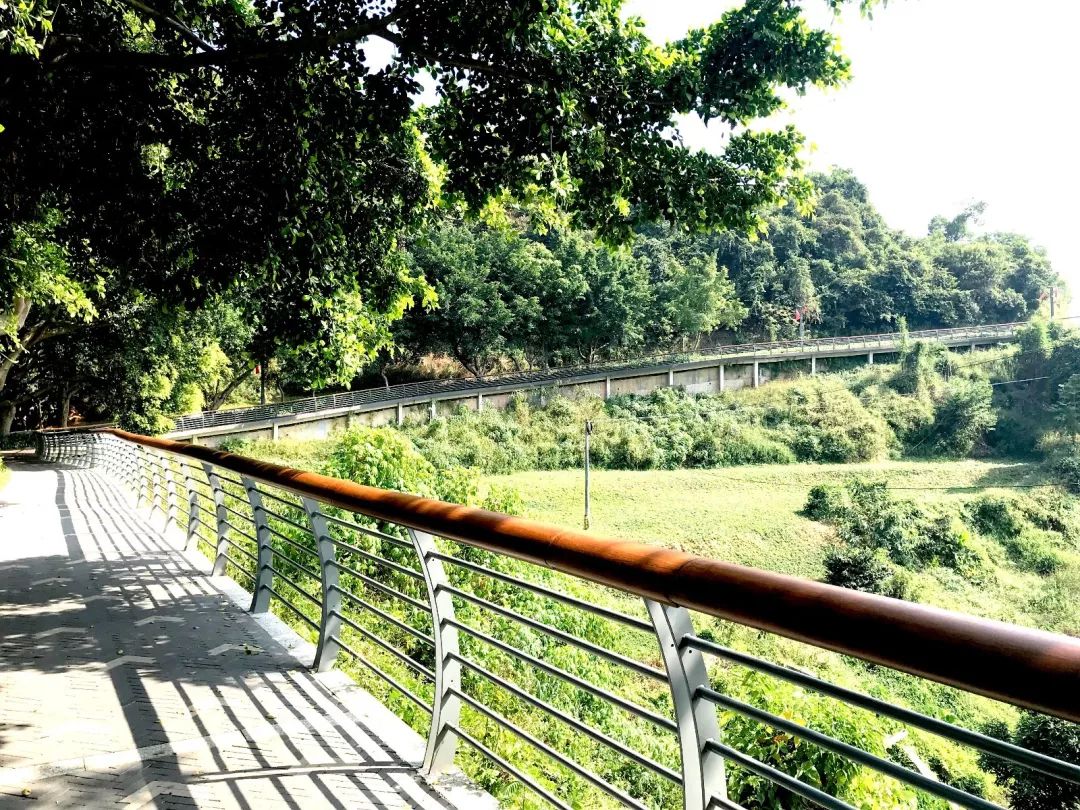 深圳淘金山绿道入口攻略,深圳淘金山绿道在哪里