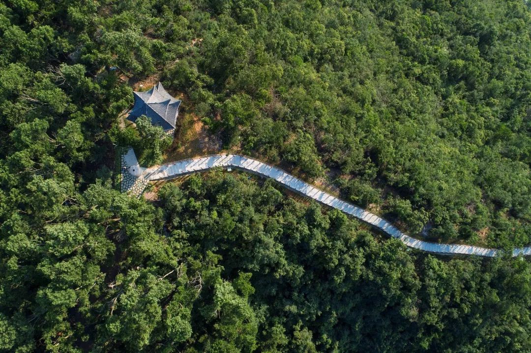 深圳淘金山绿道入口攻略,深圳淘金山绿道在哪里