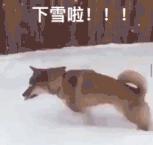 达州这两天有没有降温开始冷起来,下周达州会降温吗