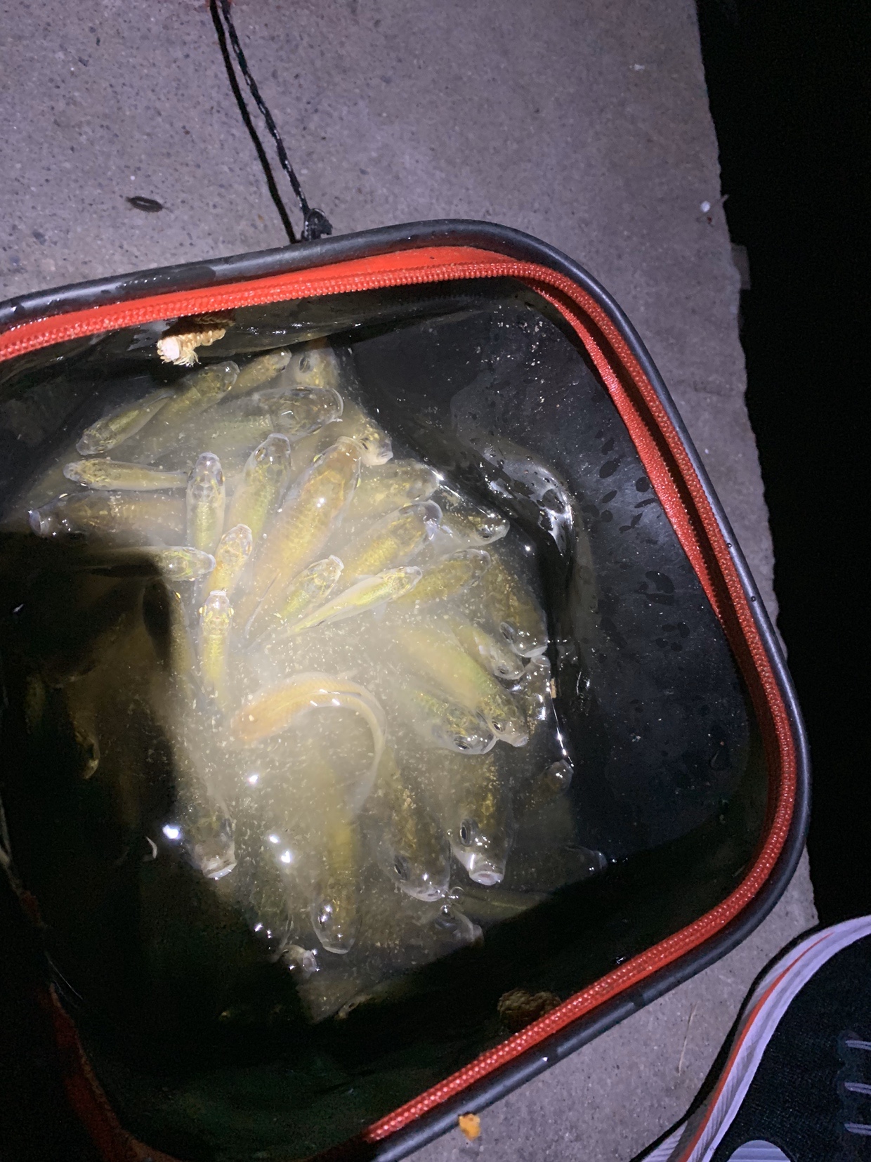 禁不住诱惑去开光，马马虎虎算成功