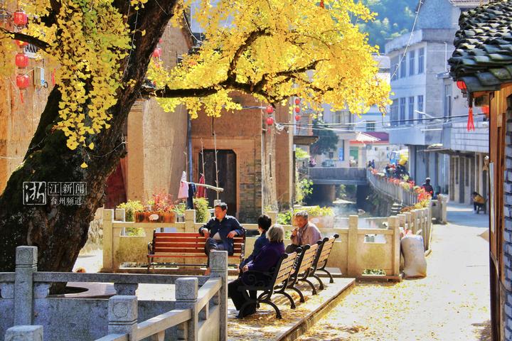 幸福四重奏视频,台州连续几年被评为最幸福城市