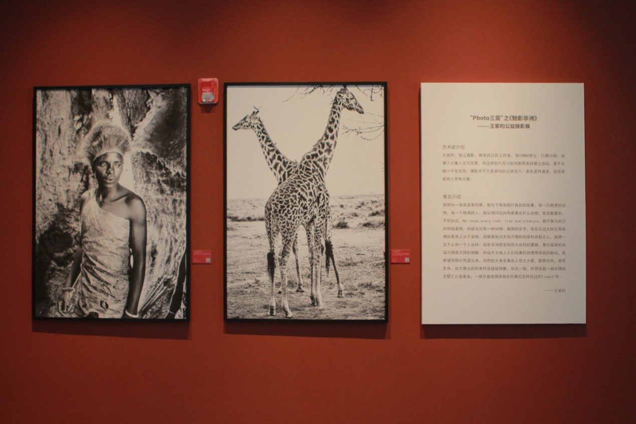 “Photo三亚”之《魅影非洲》公益摄影展在即空间开幕