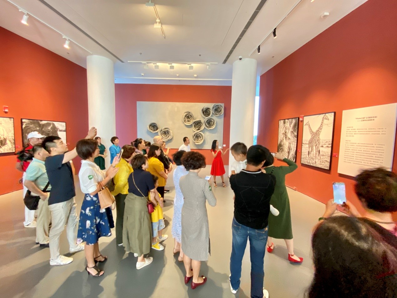 “Photo三亚”之《魅影非洲》公益摄影展在即空间开幕