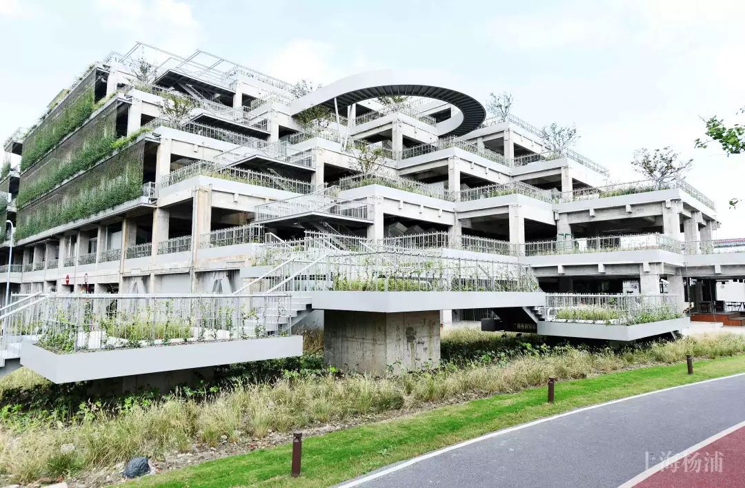 上海必打卡秋季美景,上海的秋季美景