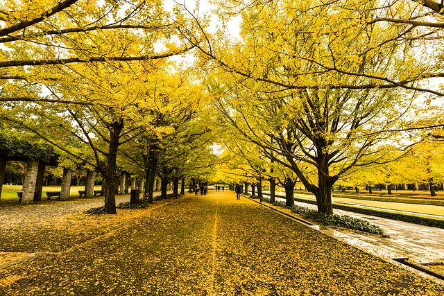 15天关西自由行,日本关东7日自由行