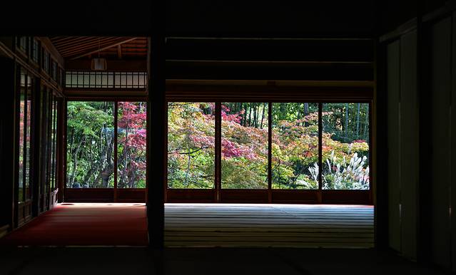 15天关西自由行,日本关东7日自由行