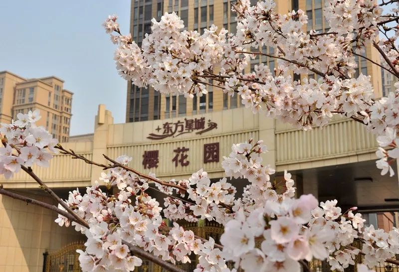 淄博市最新土地出让,淄博土地挂牌最新消息