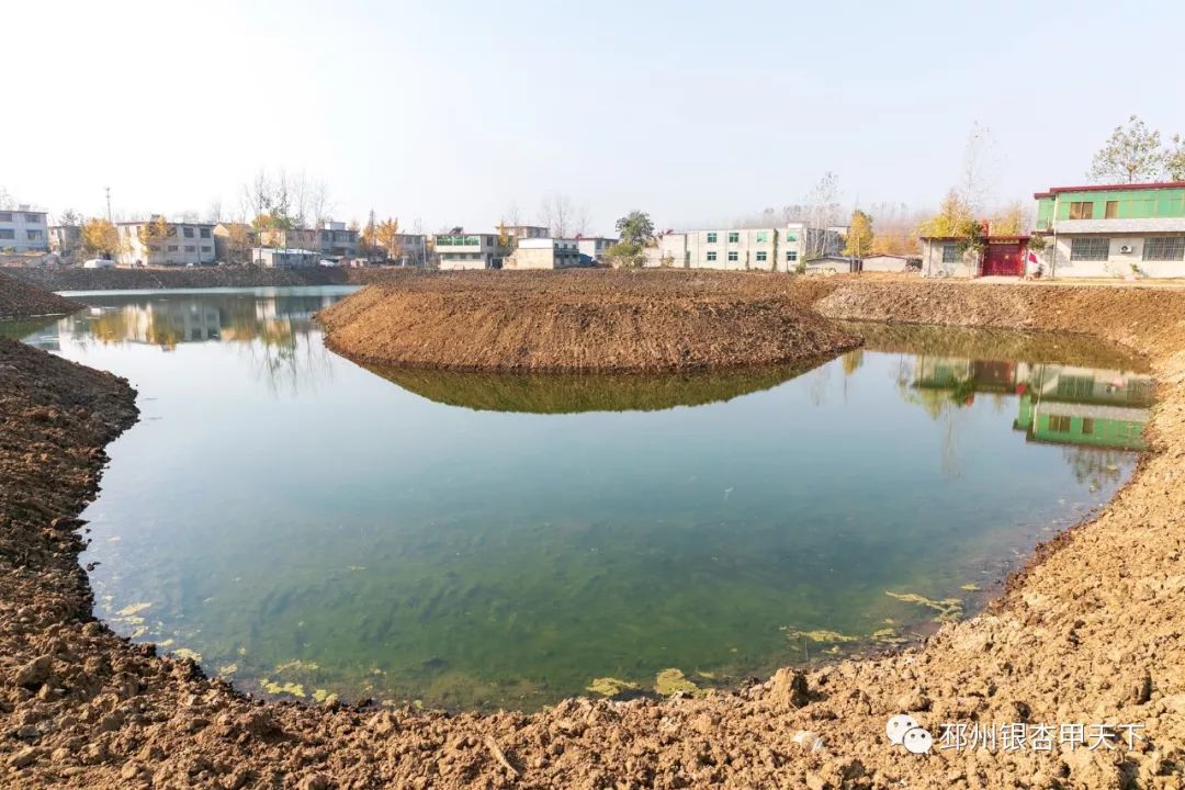 我的家乡发展状况,我的家乡发展有多好