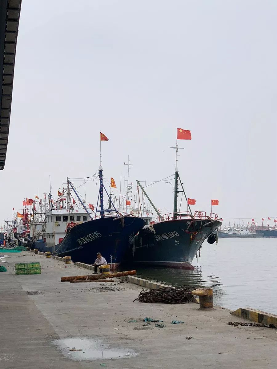 台湾评价吕四海鲜,吕四海鲜干货