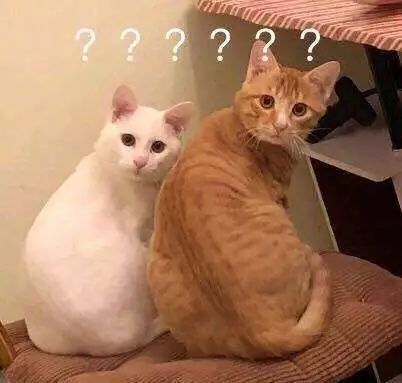 十堰京能热电2021年供暖通知,你家暖气还热吗配音