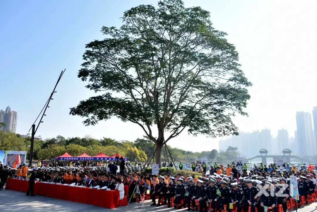 12月2日全国交通安全日视频宣传,第12个全国交通安全日宣传活动