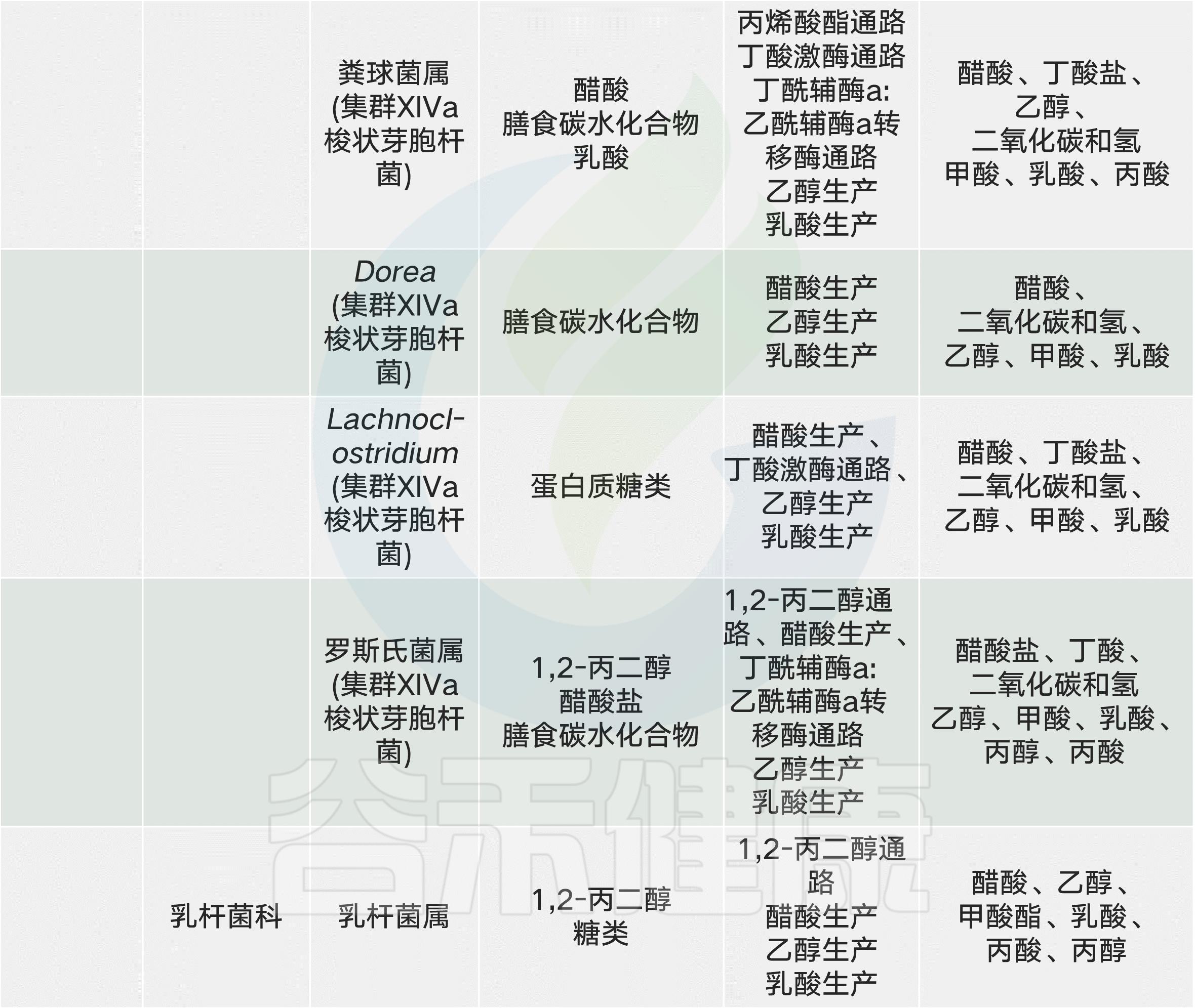 肠道菌群影响饮食文章,饮食与肠道菌群唇齿相依