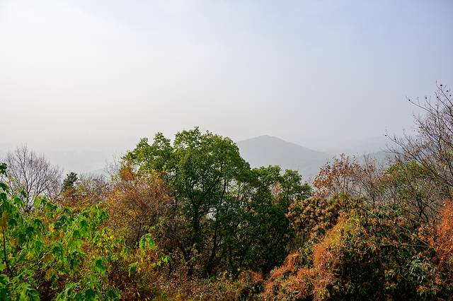 无锡惠山古镇旅游攻略,周末游无锡之惠山古镇攻略路线