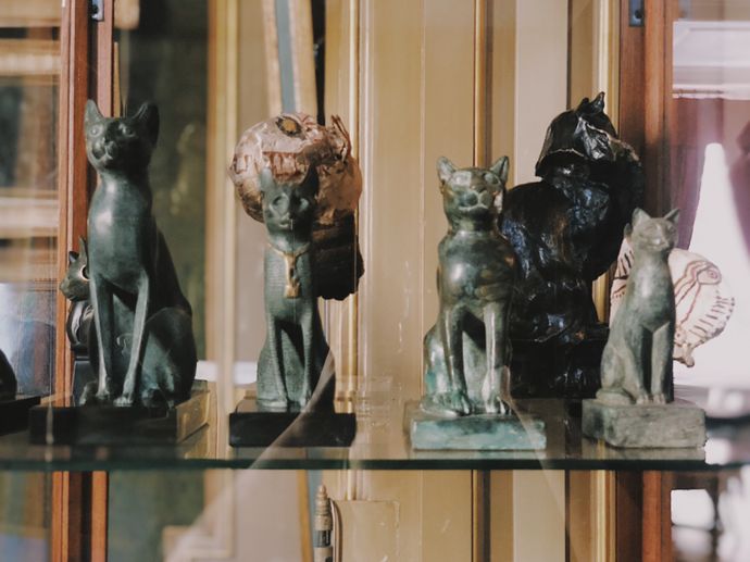 各种猫咪的博物馆,猫咪博物馆都有哪些猫