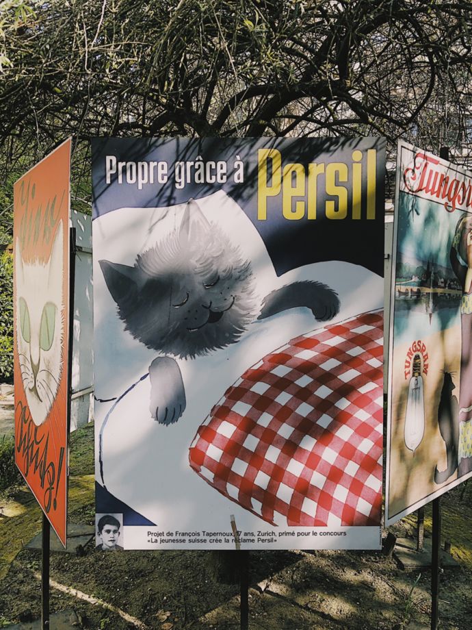 各种猫咪的博物馆,猫咪博物馆都有哪些猫