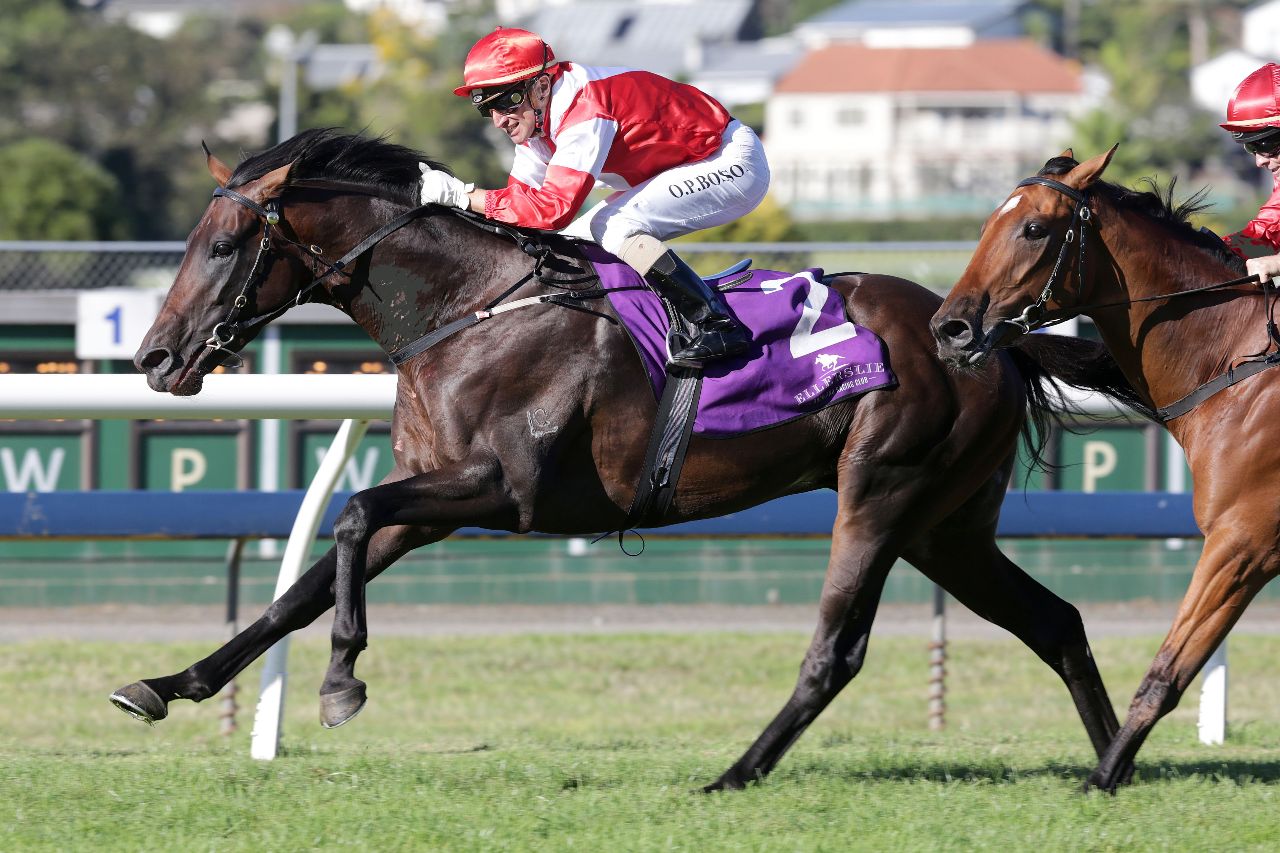 踏马滇池百万名马乘骑等你来体验