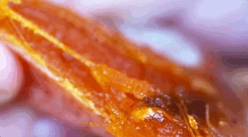 补货啦！柿饼界的小花旦，果冻Q心