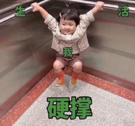 春节好物分享,过年回家好物分享