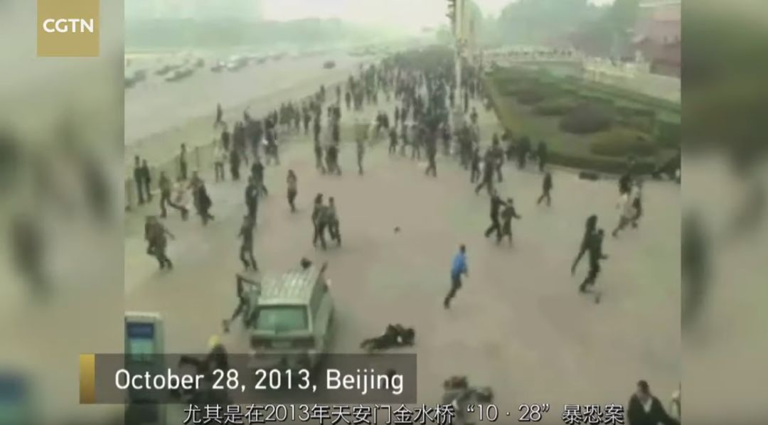 涉疆反恐纪录片,央视新疆反恐纪录片