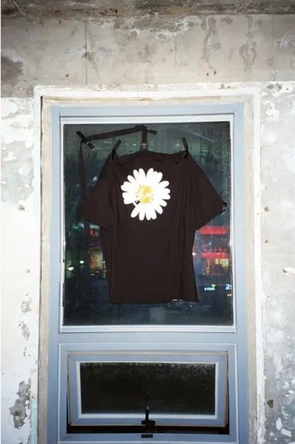 权志龙喜欢的雏菊是什么雏菊,权志龙的小雏菊为什么少一半