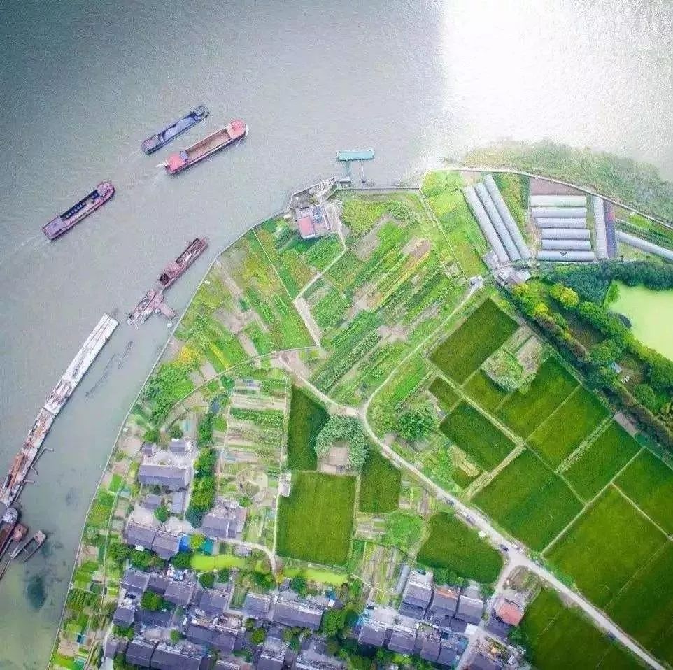 小镇在上海,上海小镇