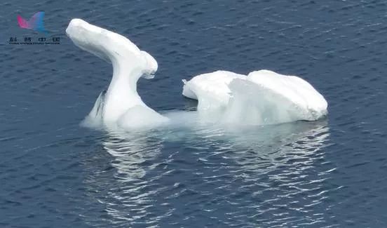 北极和南极哪里不一样,北极与南极