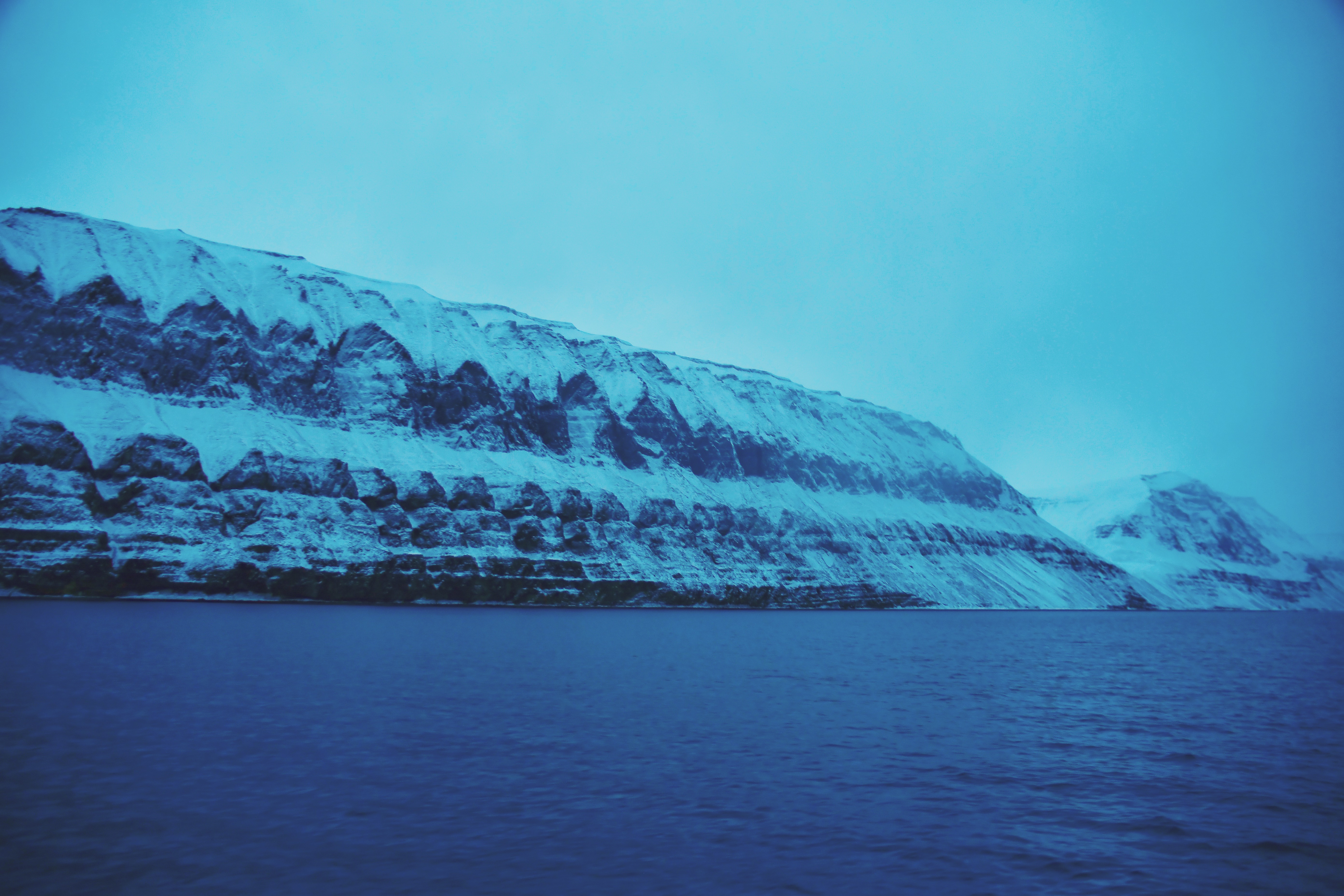 斗鱼直播河北,斗鱼直播北极