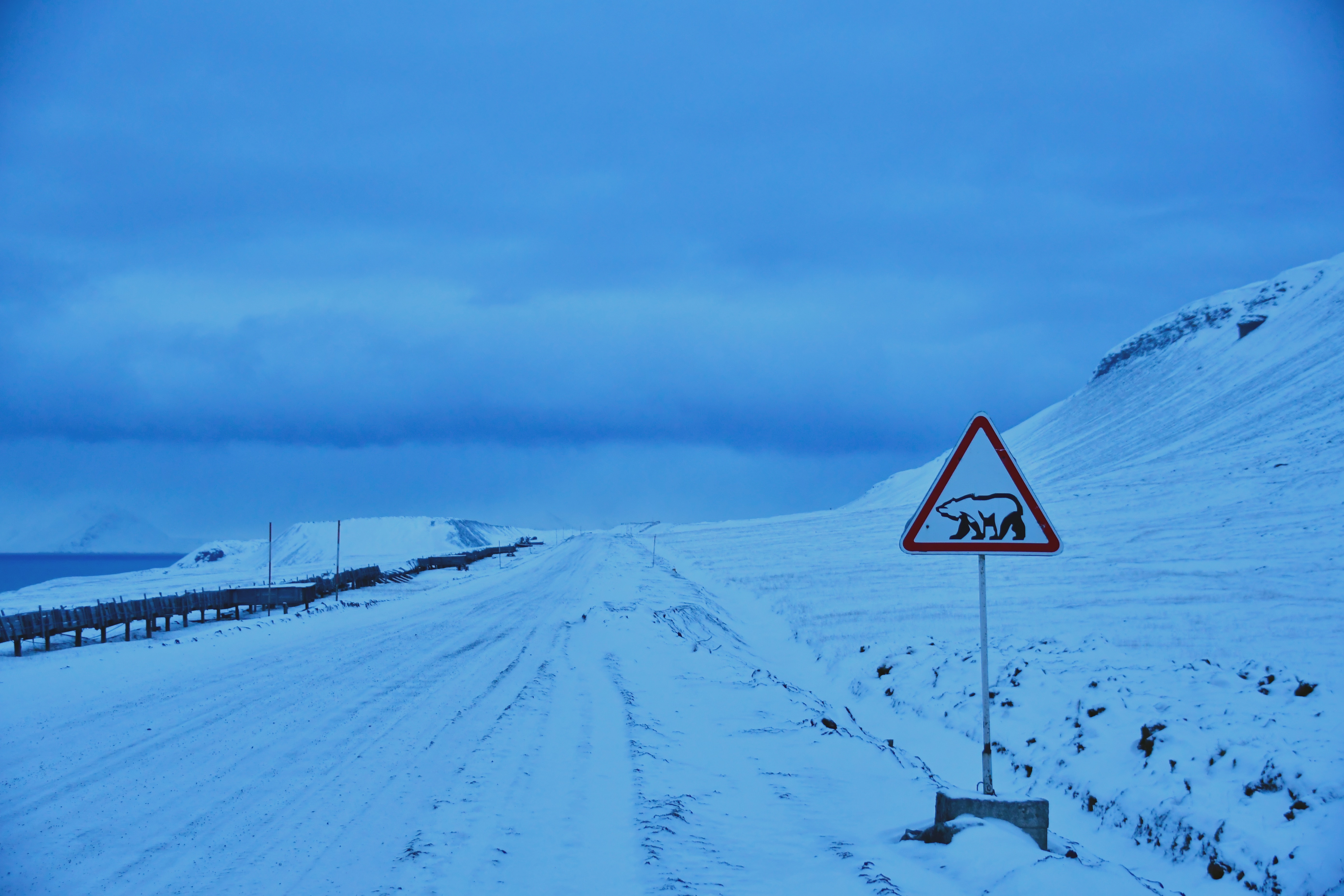 斗鱼直播河北,斗鱼直播北极