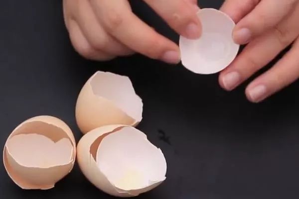 鸡蛋壳用火烧有什么用,鸡蛋壳用火烧过以后可以当肥料吗