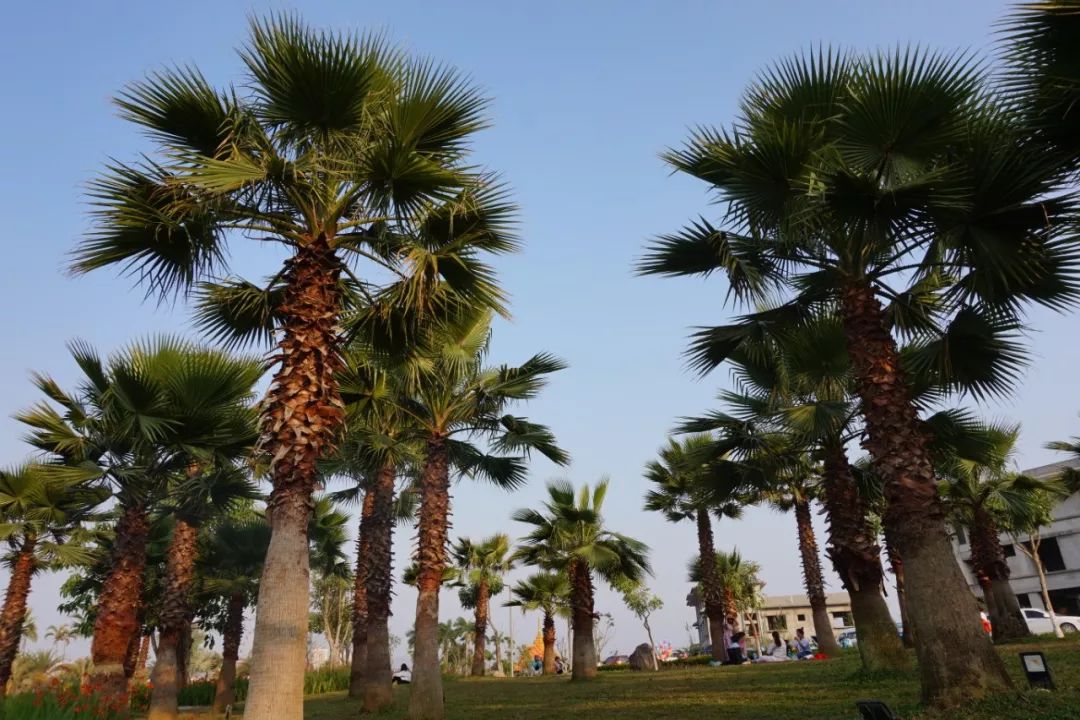 严重老化开裂,雨刮还不换?只会加玻璃水的7年老司机终于迎来换雨刮首秀!宝骏560女车主“*力暴**”安装的新雨刮,靠谱吗?