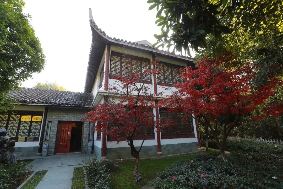 义乌十大网红打卡地,义乌网红打卡小镇