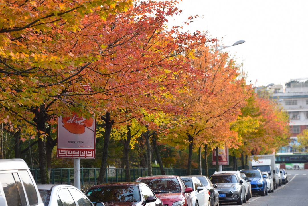 义乌十大网红打卡地,义乌网红打卡小镇