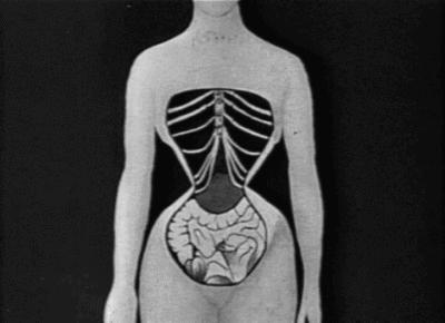 「网红束腰」：全世界有3亿人，在悄悄花钱买死