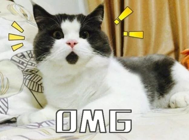 红木家具的日常养护方法,红木家具平常要怎么养护