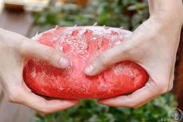 上海豆乳研究所,上海豆乳研究所地址