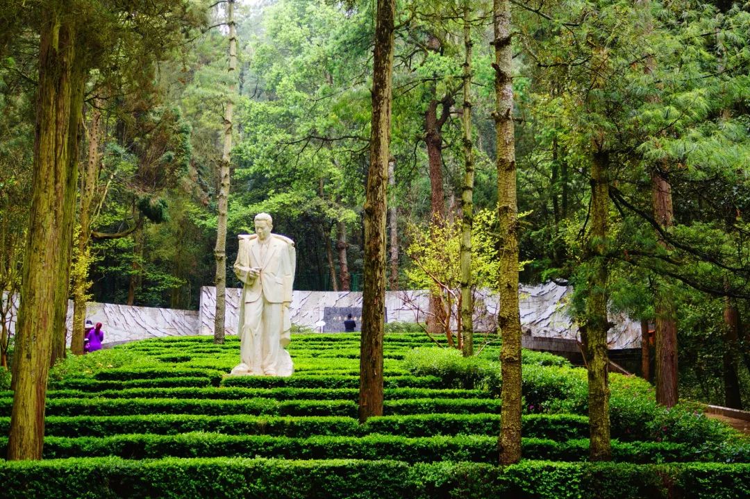 昆明春城秀图片,昆明春城景色