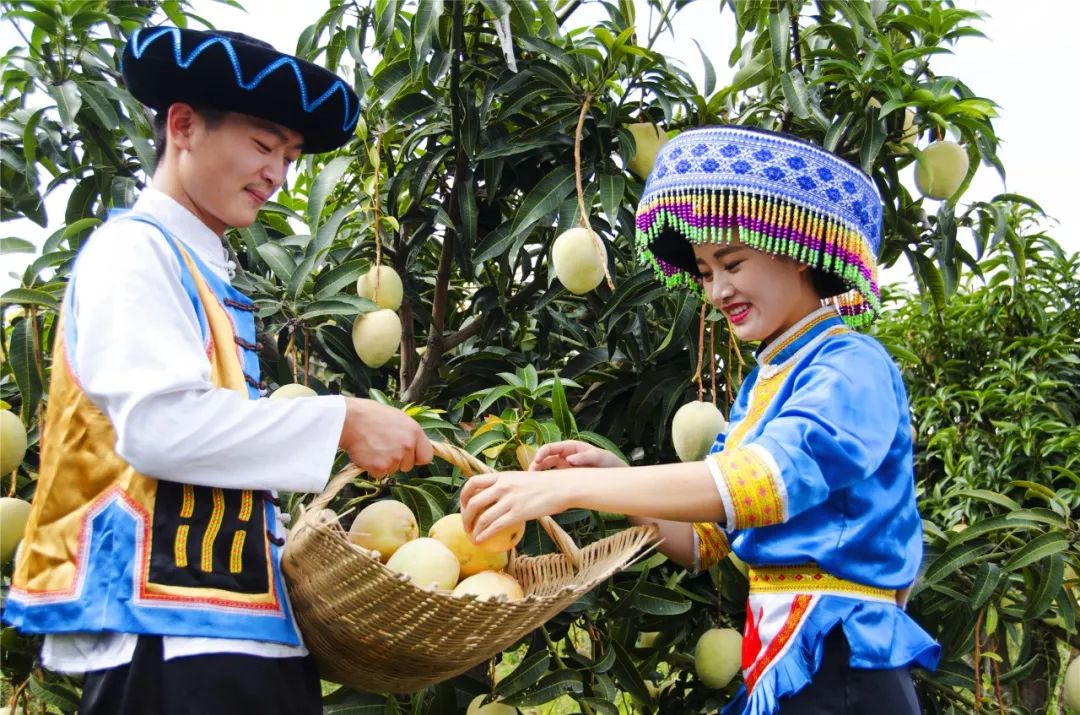 关于一张去丽江的旅游图,100张丽江照片