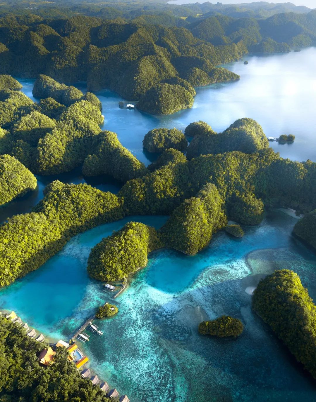 菲律宾塑料破碎,菲律宾碎尸案