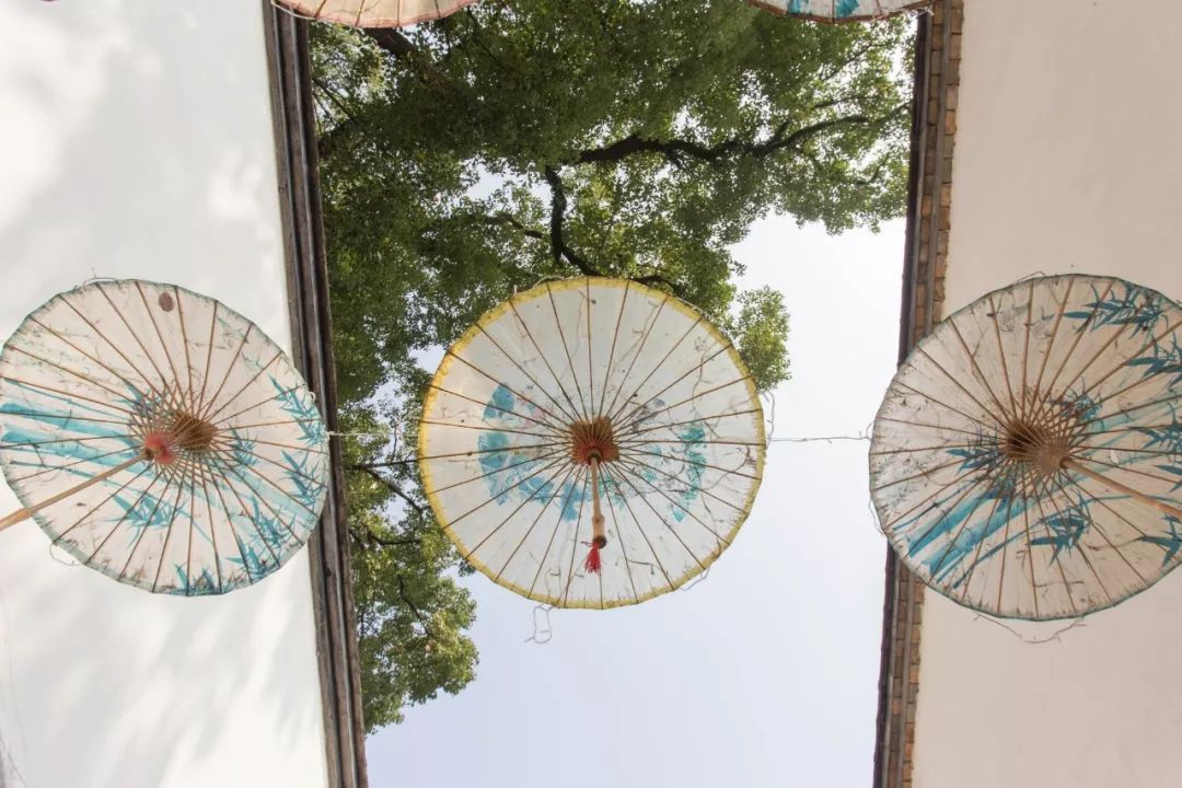 十首经典相思诗句,相思了无益诗句