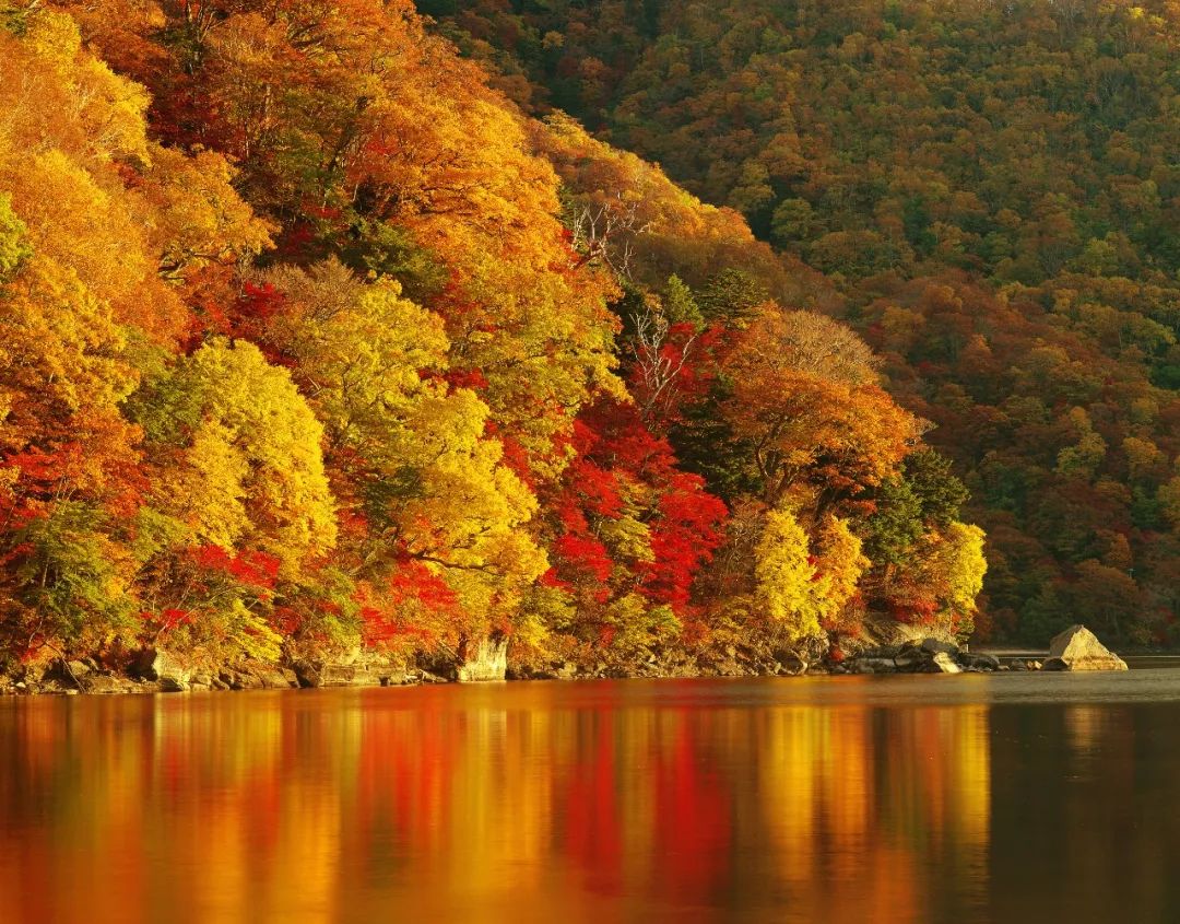 夜话丨愿烟火人间，安得太平美满