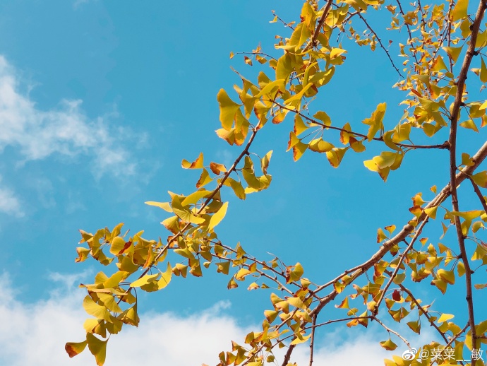 最新福州温泉公园,福州温泉公园